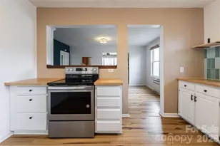 48 Wellington Dr, Asheville, NC 28804 - Photo 21