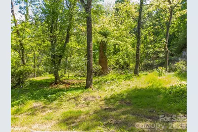 27 Shep Drive, Mills River, NC 29759 - Photo 5