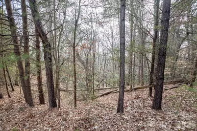 4012 Beechwood Spring Lane, Belmont, NC 28012 - Photo 3