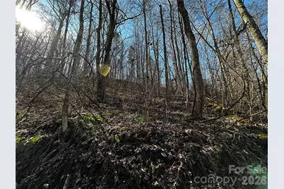 Lot 11 Blue Mist Mountain Road, Whittier, NC 28789 - Photo 11