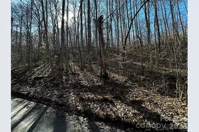 Lot 11 Blue Mist Mountain Road, Whittier, NC 28789 - Photo 3