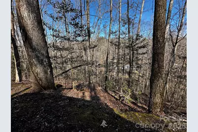 Lot 11 Blue Mist Mountain Road, Whittier, NC 28789 - Photo 17