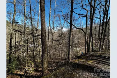 Lot 11 Blue Mist Mountain Road, Whittier, NC 28789 - Photo 19