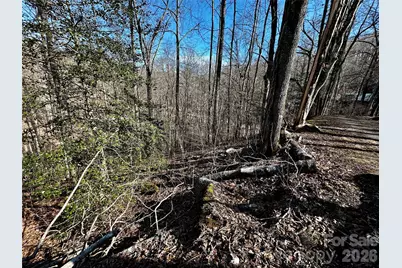 Lot 11 Blue Mist Mountain Road, Whittier, NC 28789 - Photo 15