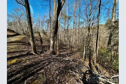 Lot 11 Blue Mist Mountain Road, Whittier, NC 28789 - Photo 13