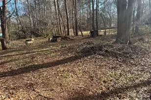 163 Barkley Dr, Mooresboro, NC 28114 - Photo 31