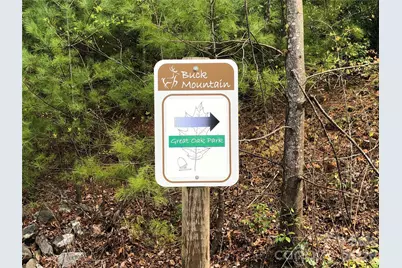 337 Lucas Path Drive #69, Purlear, NC 28665 - Photo 31