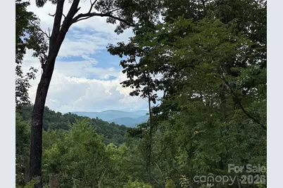 337 Lucas Path Drive #69, Purlear, NC 28665 - Photo 9