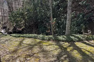 5 Creekside Dr, Maggie Valley, NC 28751 - Photo 11