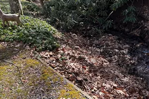 5 Creekside Dr, Maggie Valley, NC 28751 - Photo 9