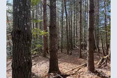 1386 Southpointe Drive, Morganton, NC 28655 - Photo 3