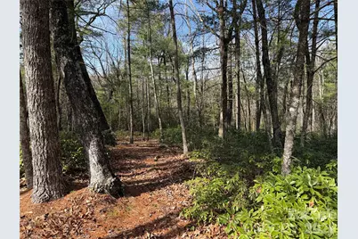 Tbd Rich Pine Drive #120, Purlear, NC 28665 - Photo 11