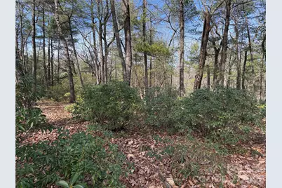 Tbd Rich Pine Drive #120, Purlear, NC 28665 - Photo 9