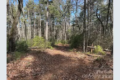 Tbd Rich Pine Drive #120, Purlear, NC 28665 - Photo 7