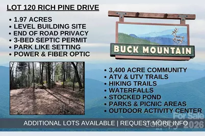 Tbd Rich Pine Drive #120, Purlear, NC 28665 - Photo 1