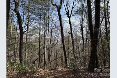 Tbd Rich Pine Drive #120, Purlear, NC 28665 - Photo 15