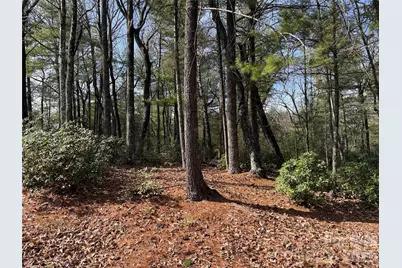 Tbd Rich Pine Drive #120, Purlear, NC 28665 - Photo 13