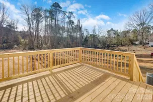 927 Mt Zion Church Rd, Iron Station, NC 28080 - Photo 31