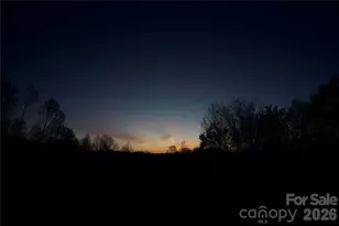 751 Hutch Mountain Rd, Fletcher, NC 28732 - Photo 47