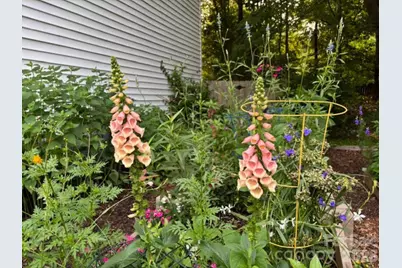 2601 Rustic Ridge Court, Charlotte, NC 28270 - Photo 47