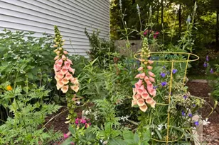 2601 Rustic Ridge Ct, Charlotte, NC 28270 - Photo 47