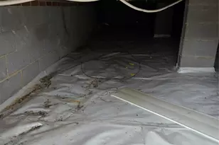 505 Addor Rd, Pinebluff, NC 28373 - Photo 19