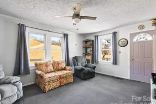 2313 Hyder Mountain Rd, Clyde, NC 28721 - Photo 19