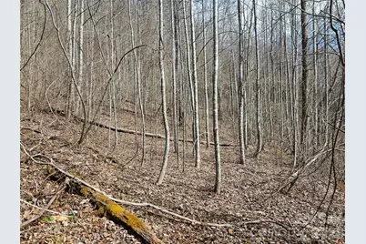 0 Woodfin Road, Sylva, NC 28779 - Photo 1