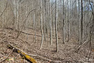 0 Woodfin Rd, Sylva, NC 28779 - Photo 1