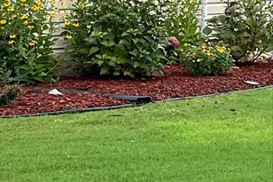 4444 Bravery Pl SW, Concord, NC 28027 - Photo 43