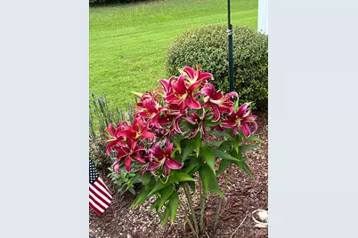 4444 Bravery Place SW #116, Concord, NC 28027 - Photo 41