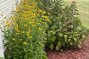 4444 Bravery Pl SW, Concord, NC 28027 - Photo 45