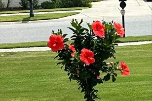 4444 Bravery Pl SW, Concord, NC 28027 - Photo 41