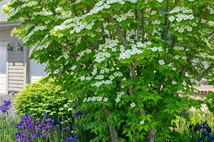 55 Outlook Cir, Swannanoa, NC 28778 - Photo 43