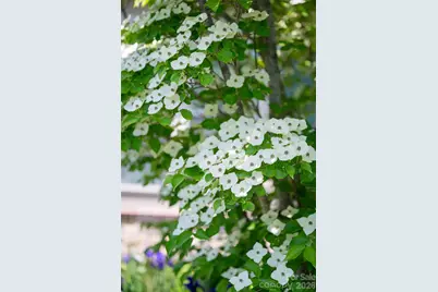 55 Outlook Circle, Swannanoa, NC 28778 - Photo 45