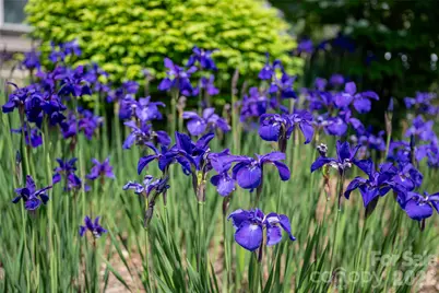 55 Outlook Circle, Swannanoa, NC 28778 - Photo 41