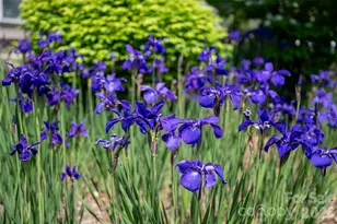 55 Outlook Cir, Swannanoa, NC 28778 - Photo 41