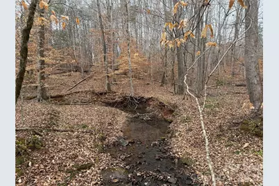 0 Darwin Road, Gaffney, SC 29340 - Photo 19