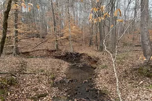 0 Darwin Rd, Gaffney, SC 29340 - Photo 19