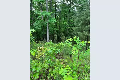 0 Darwin Road, Gaffney, SC 29340 - Photo 3