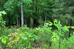 0 Darwin Rd, Gaffney, SC 29340 - Photo 3