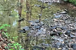 0 Darwin Rd, Gaffney, SC 29340 - Photo 9