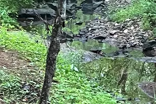 0 Darwin Rd, Gaffney, SC 29340 - Photo 7