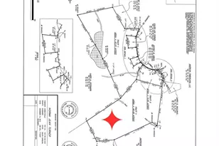 0 Darwin Rd, Gaffney, SC 29340 - Photo 17