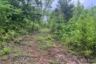 0 Darwin Rd, Gaffney, SC 29340 - Photo 15