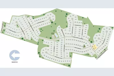 2442 Chartwell Street, Stanley, NC 28164 - Photo 3