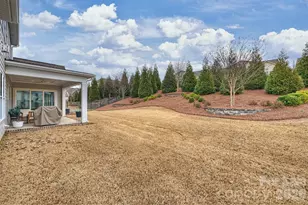 15413 Topanga Dr, Charlotte, NC 28278 - Photo 39