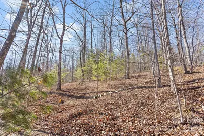 0000 Pinnacle Mountain Road #Lots 1,2,3,4, Zirconia, NC 28790 - Photo 21