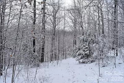 0000 Pinnacle Mountain Road #Lots 1,2,3,4, Zirconia, NC 28790 - Photo 5