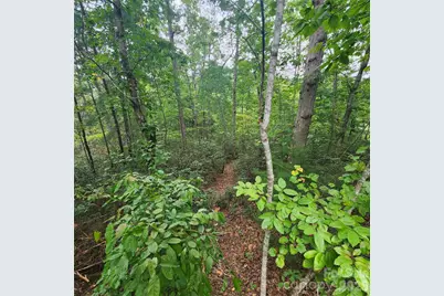 Lot 11 Waterside Drive, Lake Lure, NC 28746 - Photo 3